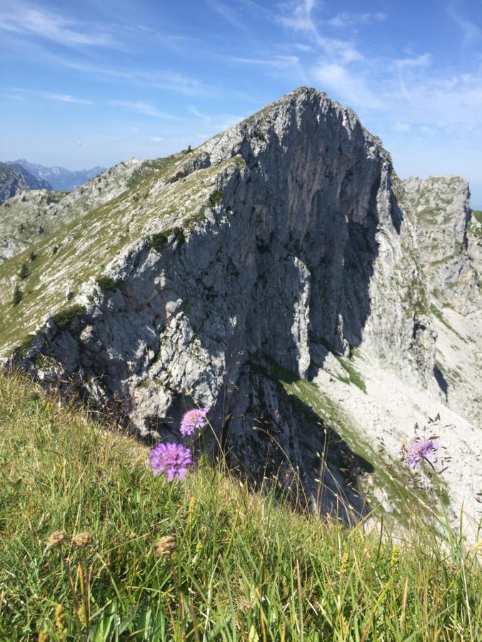 Bergnest Bad Bayersoien 아파트 외부 사진